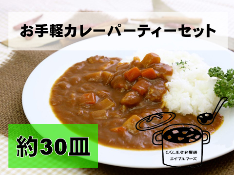 お手軽カレーパーティーセット 約30皿分 令和饗膳 徳島市で仕出し弁当 会席の宅配 ケータリング お届け料理